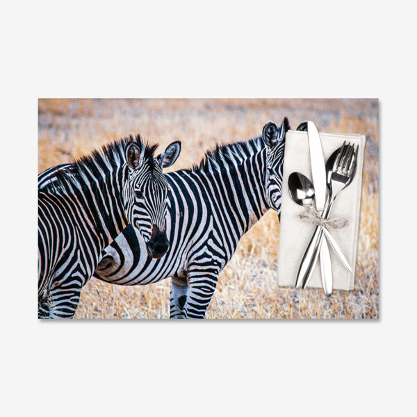 Two Zebras, Tanzania
