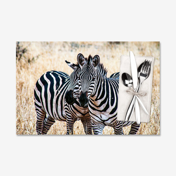 Zebra Love, Tanzania