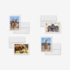 Safari Highlights
