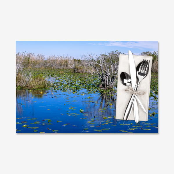 Landscape, Big Cypress National Preserve, Florida