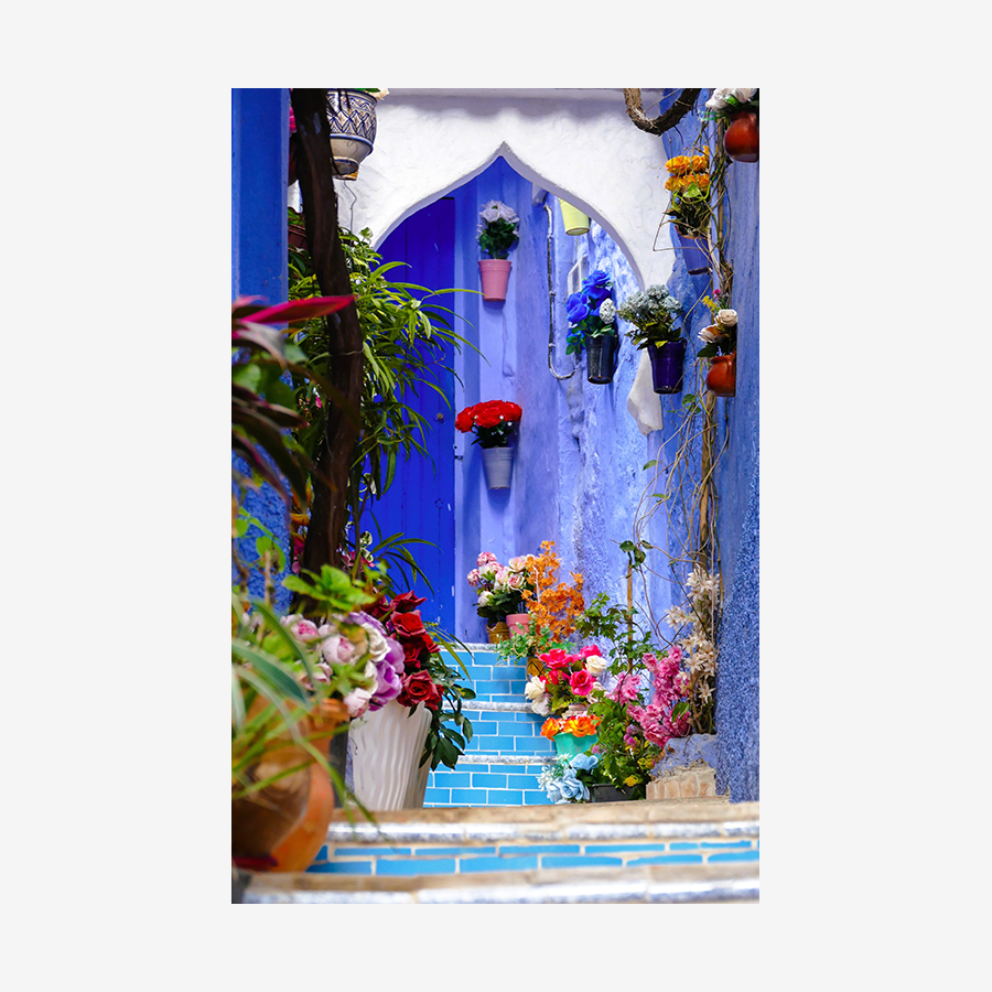 Blue Door with Flowers, Chefchaouen, Morocco