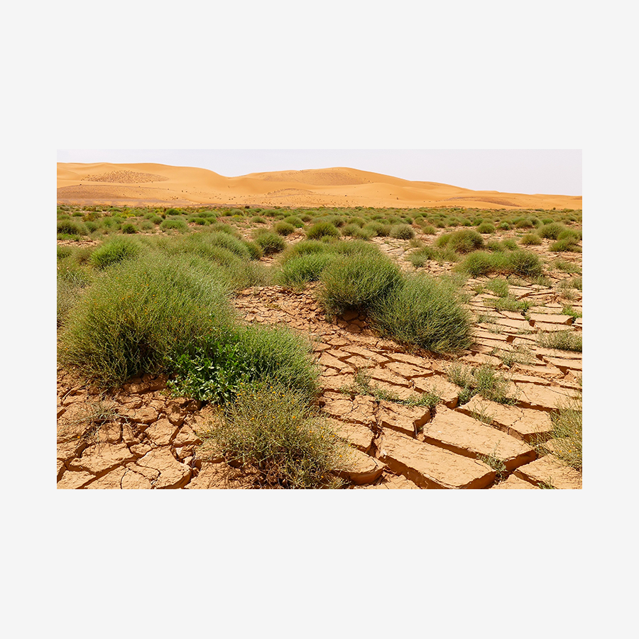 Sand Scape, Erg Chebbi, Morocco