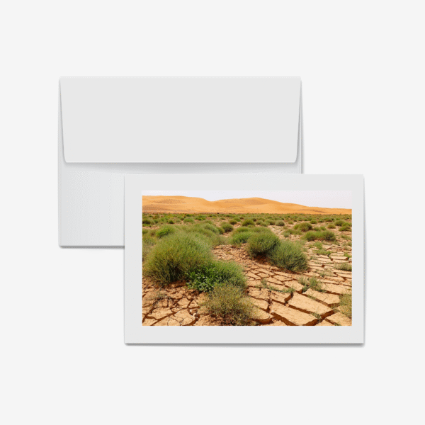 Sand Scape, Erg Chebbi, Morocco