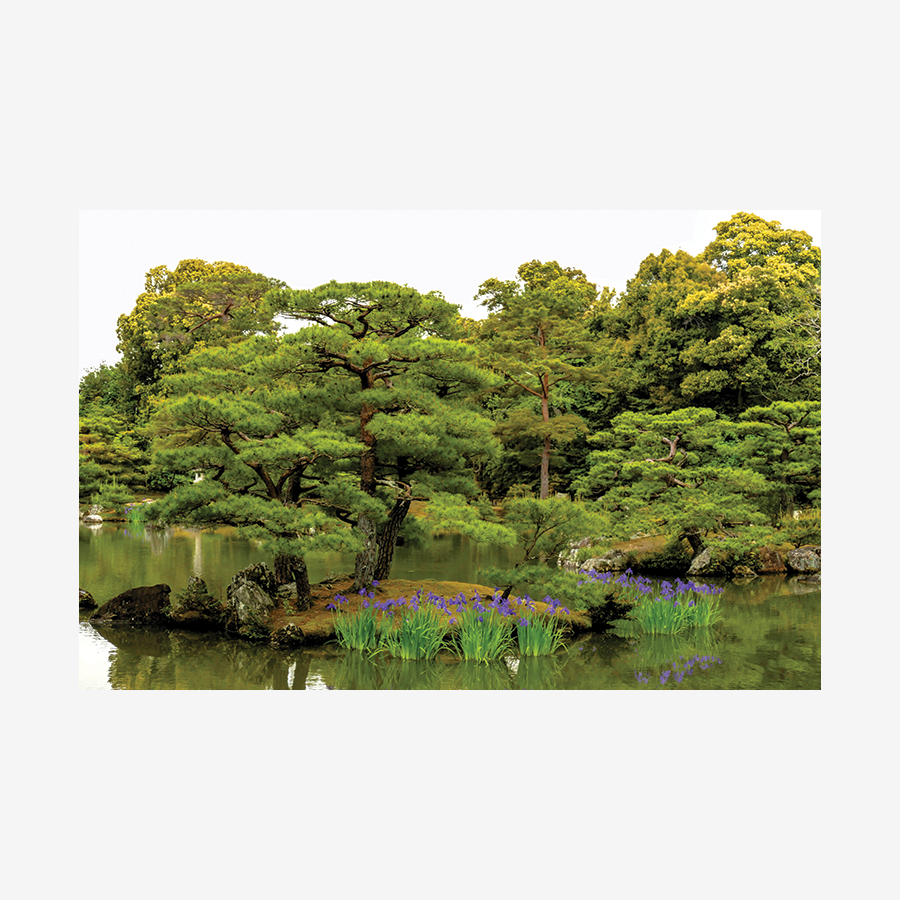 Golden Palace, Kyoto, Japan