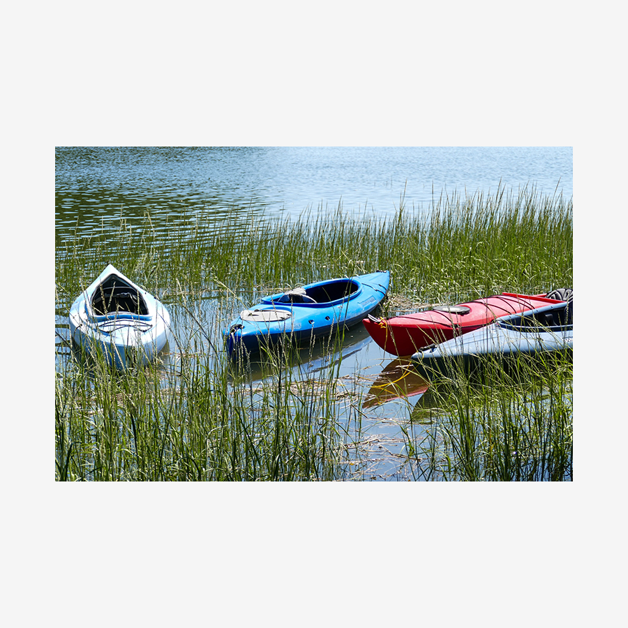 4 Kayaks, Wellfleet, MA (Cape Cod)