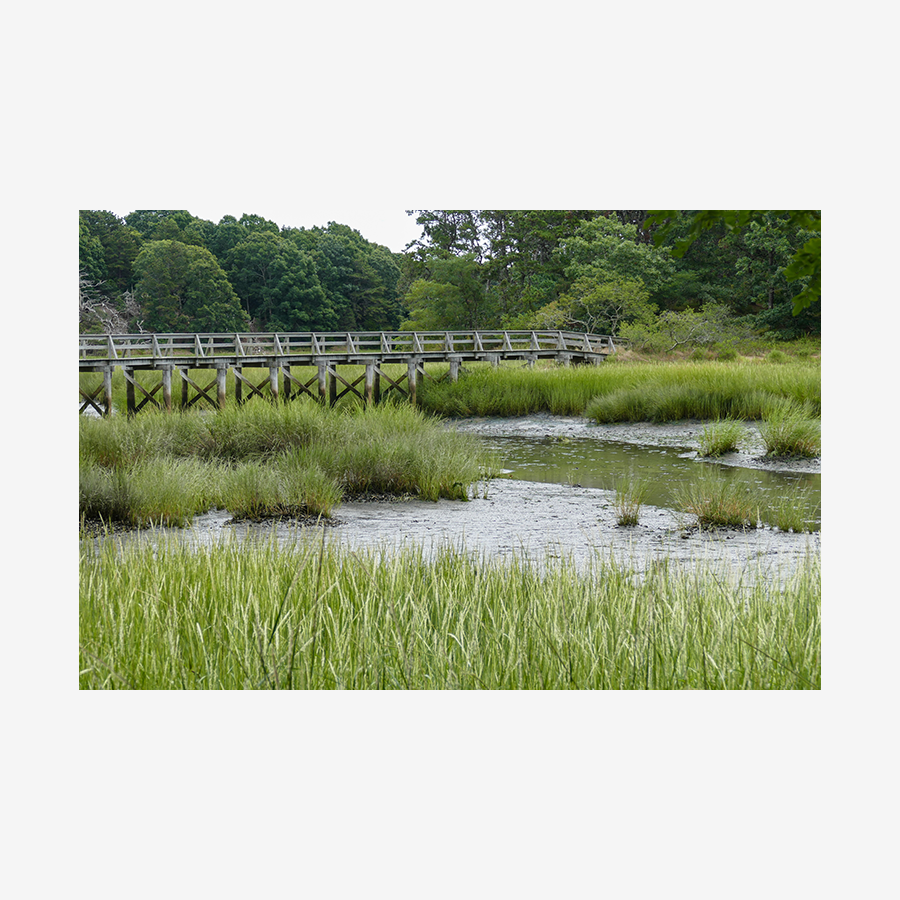 Marsh at Uncle Tom's Bridge, Wellfleet, MA (Cape Cod)
